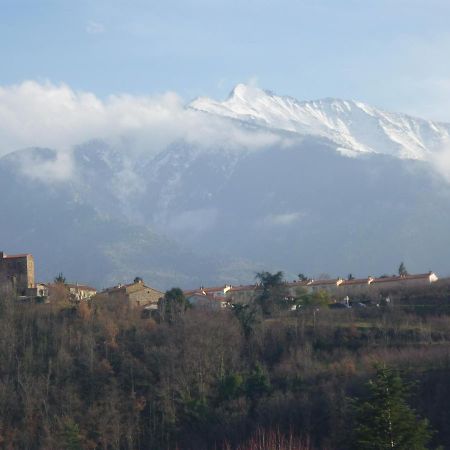 Chez Vivi Bed & Breakfast Ria Bagian luar foto