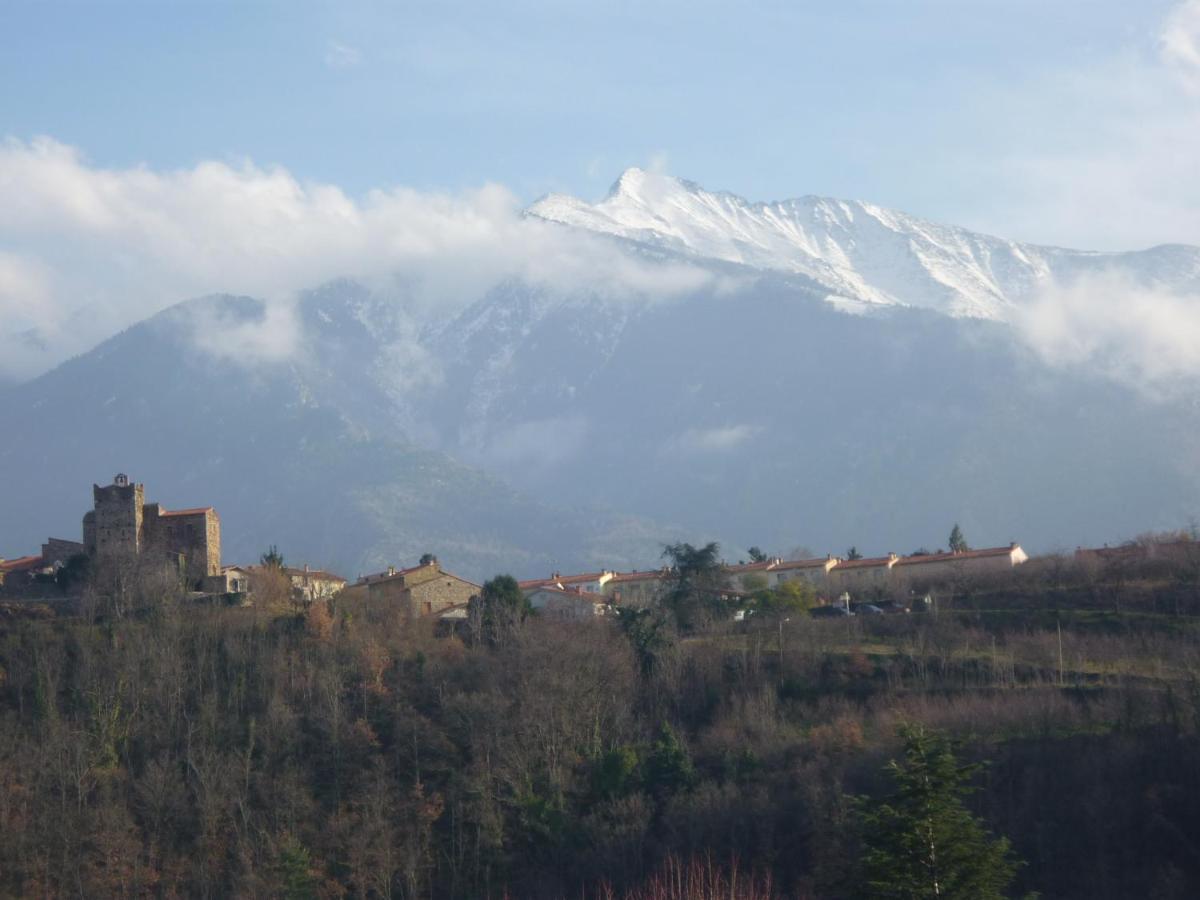 Chez Vivi Bed & Breakfast Ria Bagian luar foto